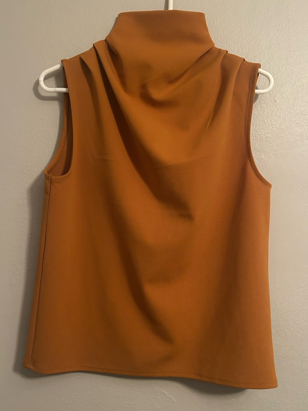 Express Sleeveless Mock Neck Top